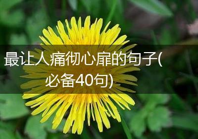 最让人痛彻心扉的句子(必备40句)