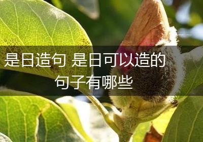 是日造句 是日可以造的句子有哪些