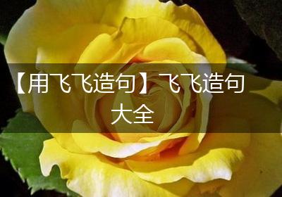 【用飞飞造句】飞飞造句大全