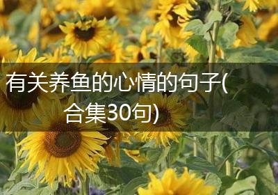 有关养鱼的心情的句子(合集30句)