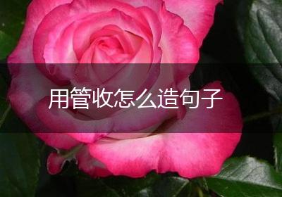 用管收怎么造句子
