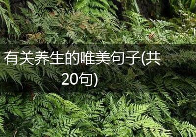 有关养生的唯美句子(共20句)