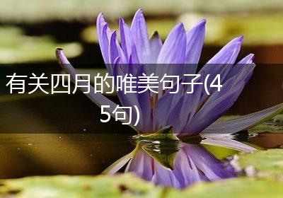 有关四月的唯美句子(45句)