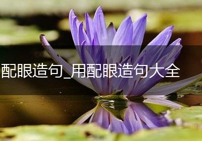配眼造句_用配眼造句大全