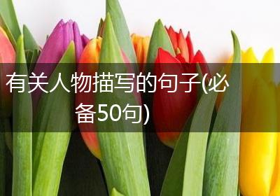 有关人物描写的句子(必备50句)