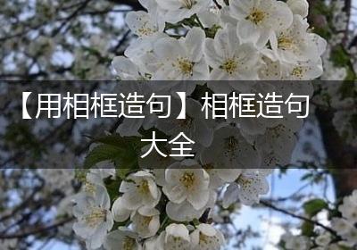 【用相框造句】相框造句大全