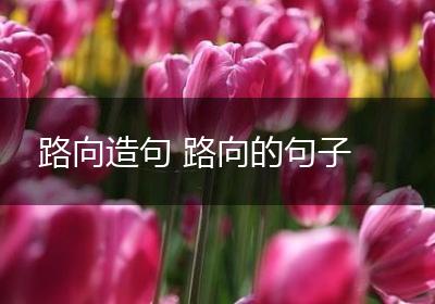 路向造句 路向的句子