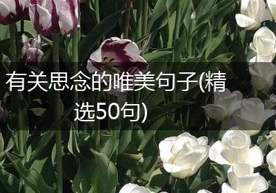 有关思念的唯美句子(精选50句)