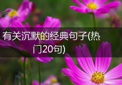 有关沉默的经典句子(热门20句)