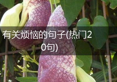 有关烦恼的句子(热门20句)