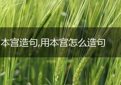 本宫造句,用本宫怎么造句
