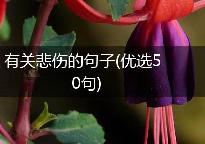 有关悲伤的句子(优选50句)