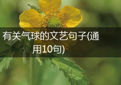 有关气球的文艺句子(通用10句)