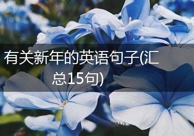 有关新年的英语句子(汇总15句)