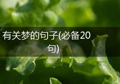 有关梦的句子(必备20句)