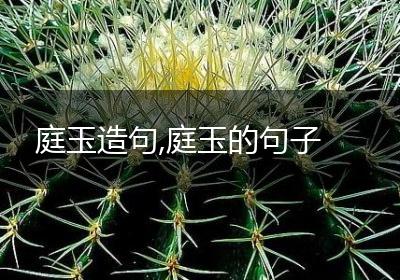 庭玉造句,庭玉的句子