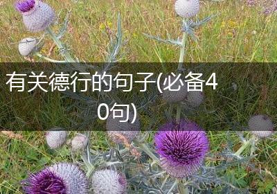 有关德行的句子(必备40句)