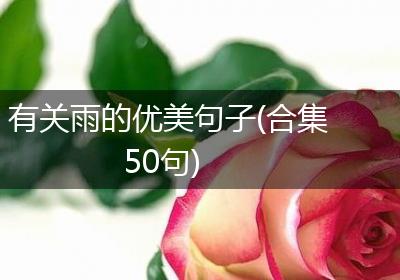 有关雨的优美句子(合集50句)