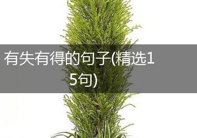 有失有得的句子(精选15句)
