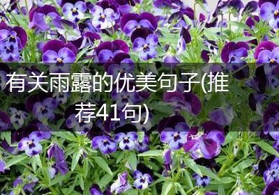 有关雨露的优美句子(推荐41句)