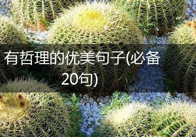 有哲理的优美句子(必备20句)