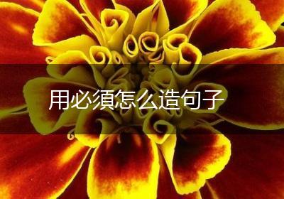 用必須怎么造句子