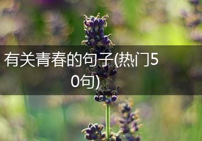 有关青春的句子(热门50句)