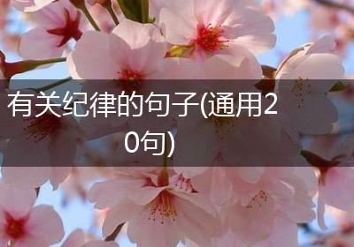 有关纪律的句子(通用20句)