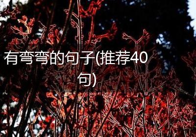 有弯弯的句子(推荐40句)