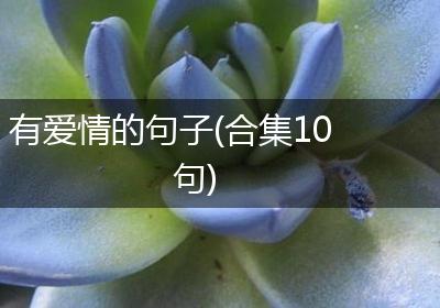 有爱情的句子(合集10句)