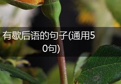 有歇后语的句子(通用50句)