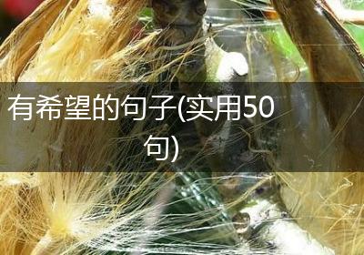 有希望的句子(实用50句)