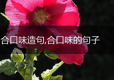 合口味造句,合口味的句子