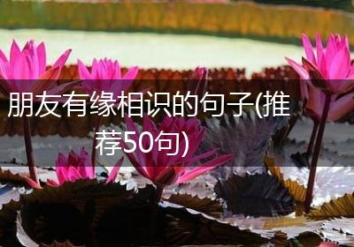 朋友有缘相识的句子(推荐50句)