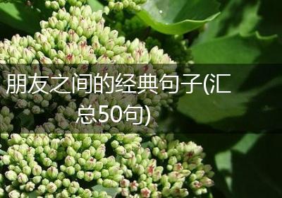朋友之间的经典句子(汇总50句)
