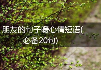 朋友的句子暖心情短语(必备20句)