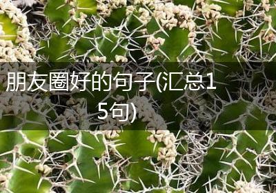朋友圈好的句子(汇总15句)