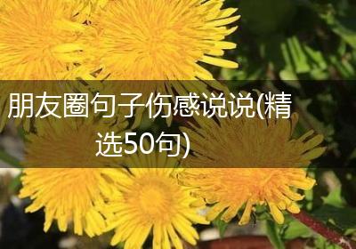 朋友圈句子伤感说说(精选50句)