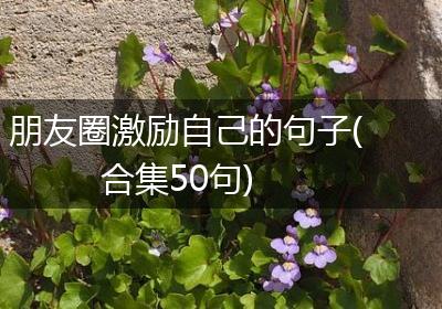 朋友圈激励自己的句子(合集50句)