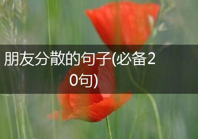 朋友分散的句子(必备20句)