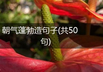 朝气蓬勃造句子(共50句)