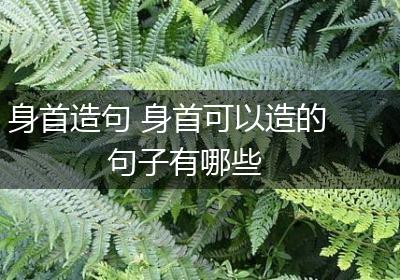 身首造句 身首可以造的句子有哪些