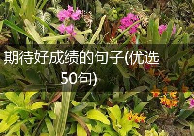 期待好成绩的句子(优选50句)
