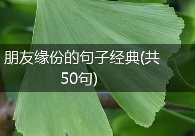 朋友缘份的句子经典(共50句)