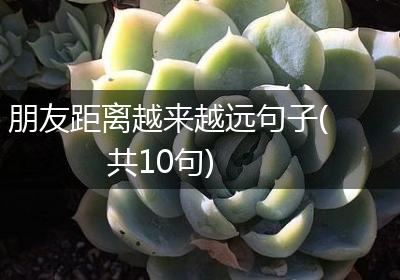 朋友距离越来越远句子(共10句)