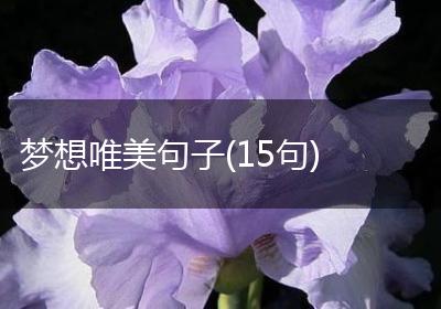 梦想唯美句子(15句)