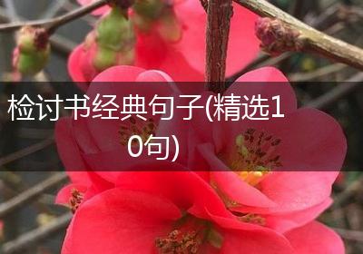 检讨书经典句子(精选10句)