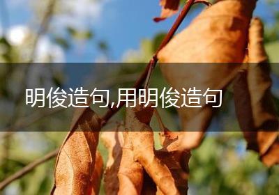 明俊造句,用明俊造句