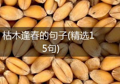 枯木逢春的句子(精选15句)