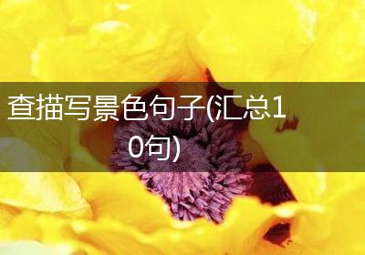 查描写景色句子(汇总10句)